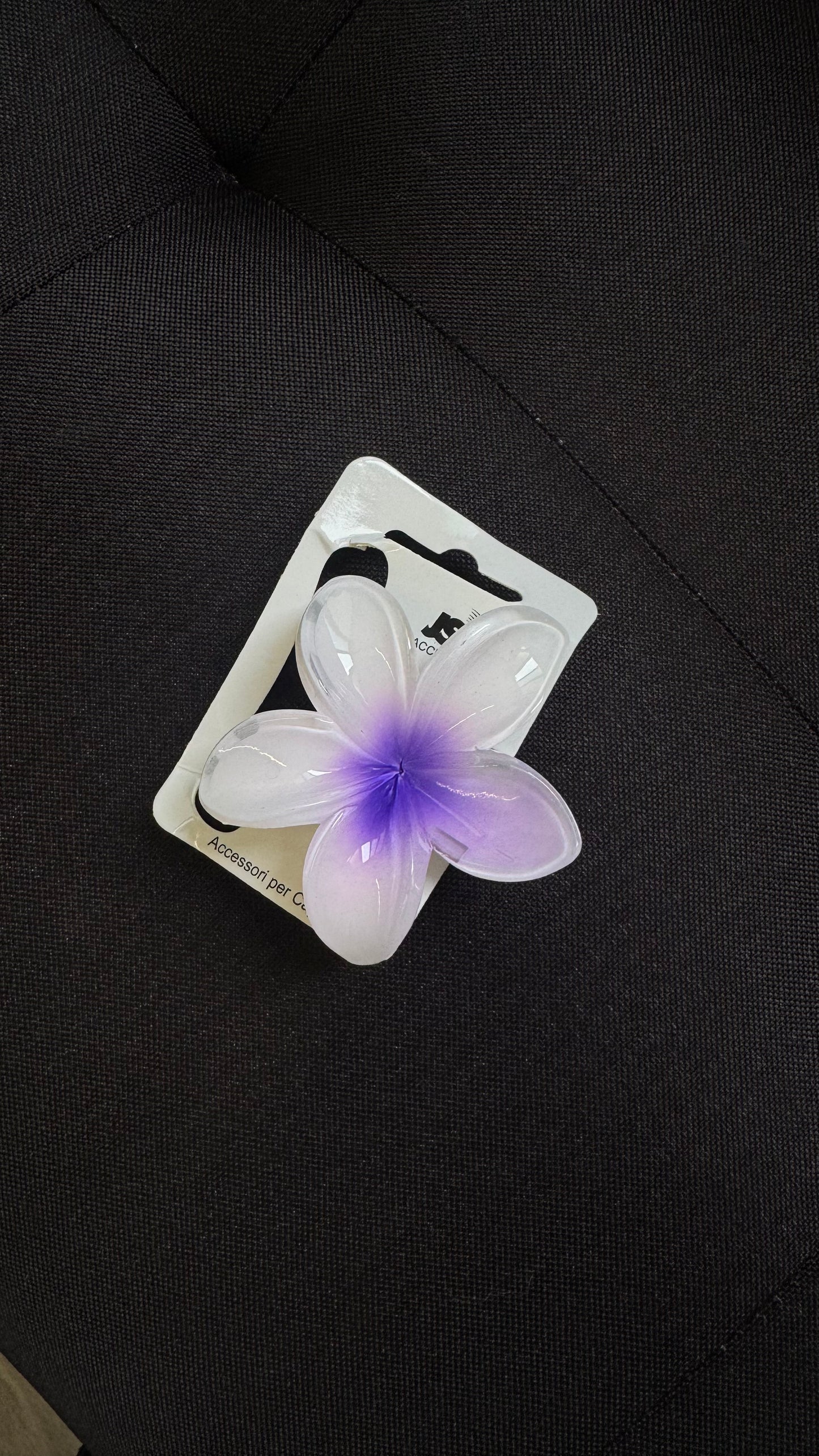 MOLLETTINA FLOWER