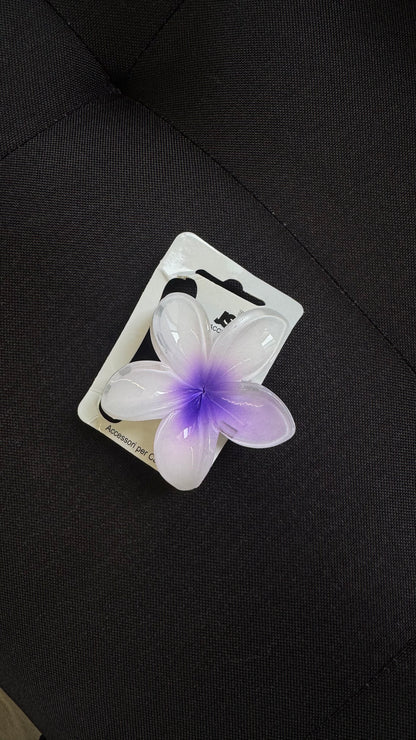 MOLLETTINA FLOWER