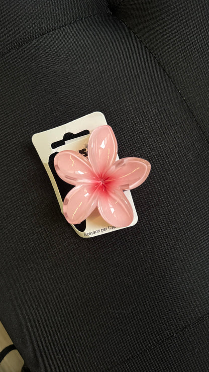 MOLLETTINA FLOWER