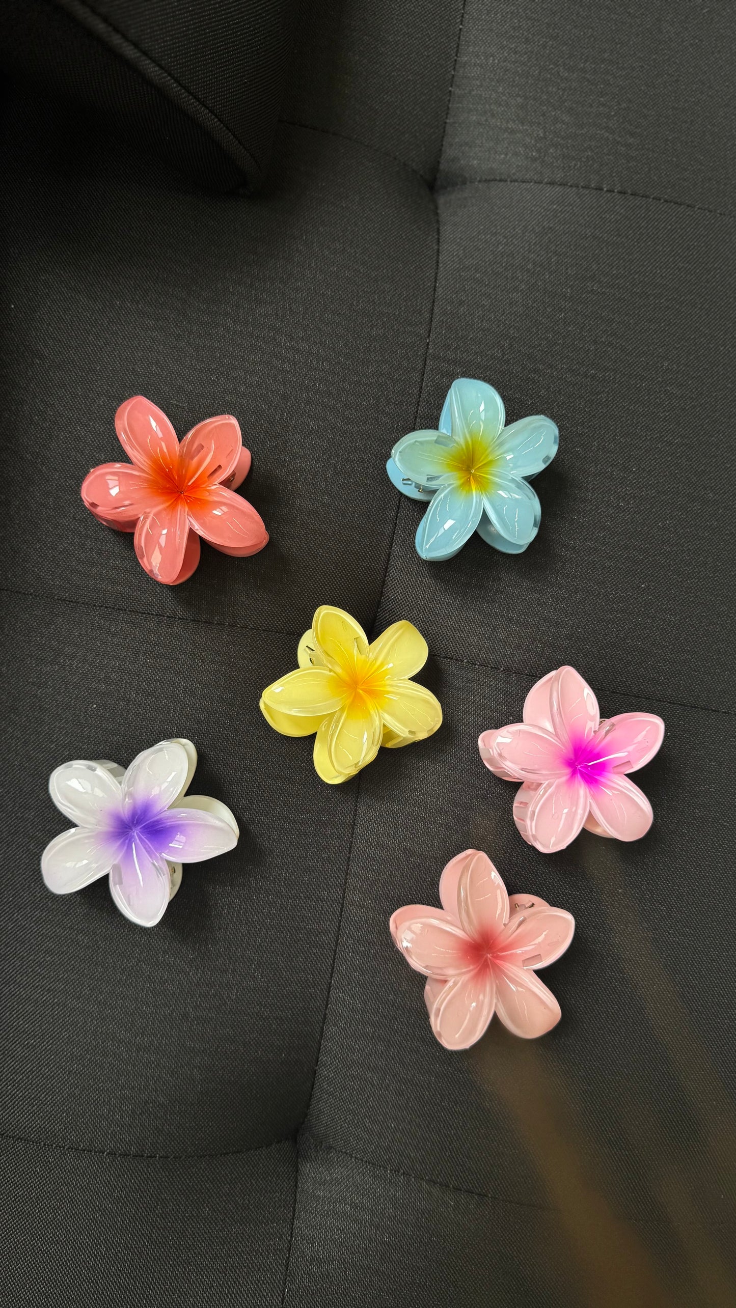 MOLLETTINA FLOWER